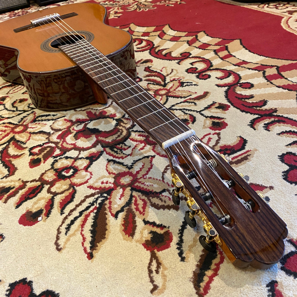 Acoustic guitar on a patterned rug
