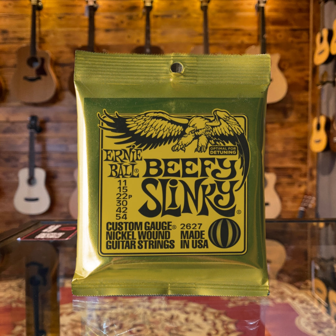 Senar Listrik Ernie Ball