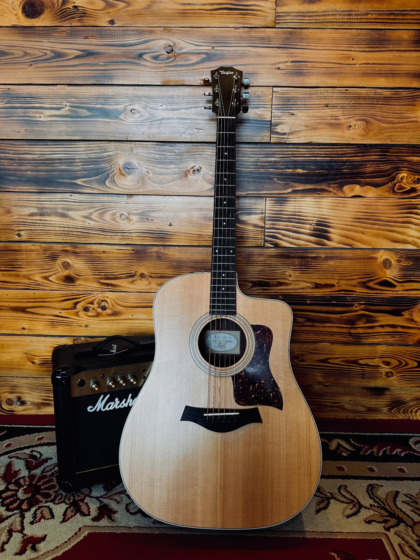 A Taylor 210CE Dreadnought acoustic guitar lying against a wooden wall, showing its Sitka spruce top and classic design.
