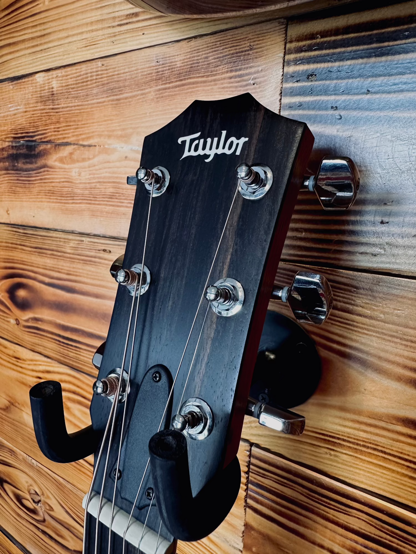Front of the headstock of a Taylor 210CE acoustic guitar hanging on a guitar hanger, showing the Taylor logo and chrome tuning pegs.