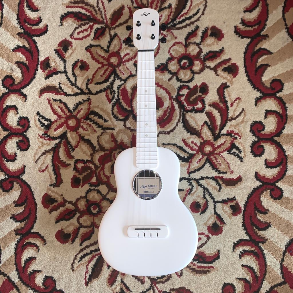 Tom Ukulele - N1WH Concert