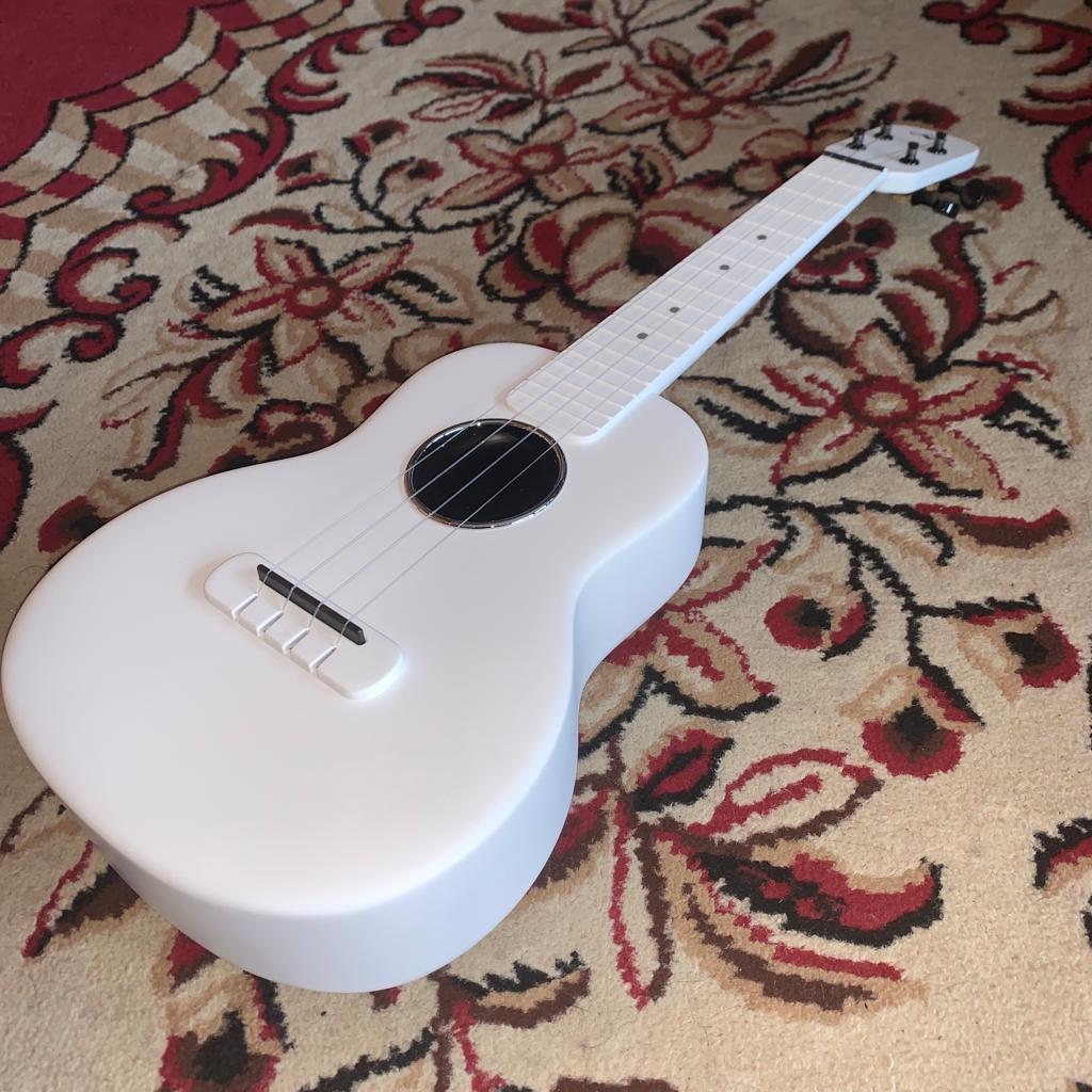 Tom Ukulele - N1WH Concert