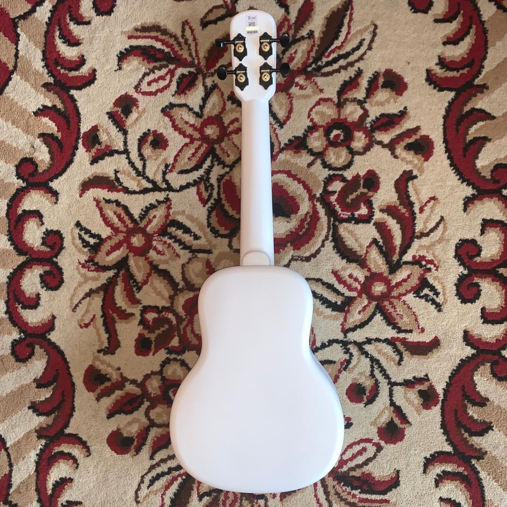 Tom Ukulele - N1WH Concert