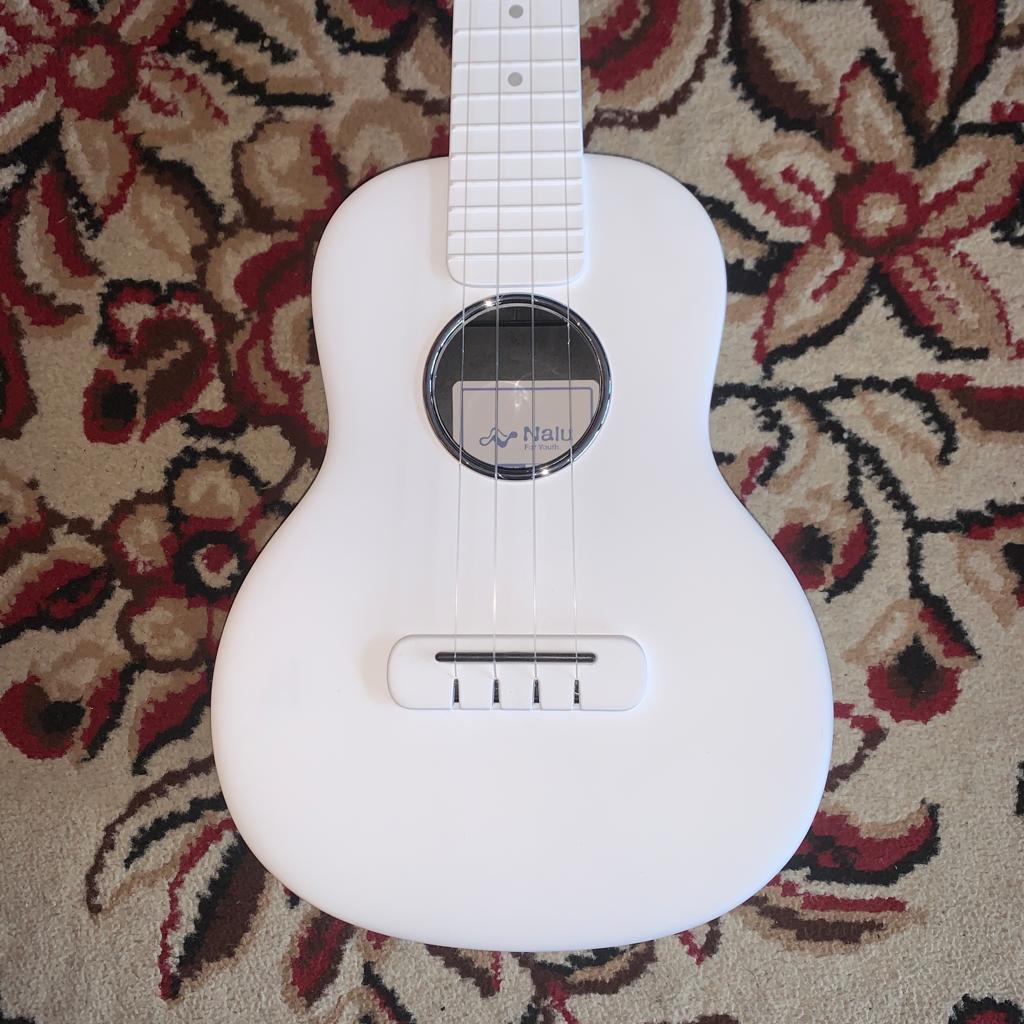 Tom Ukulele - N1WH Concert