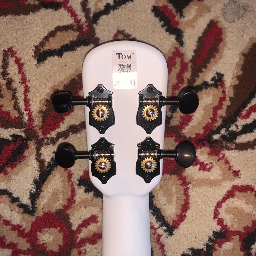 Tom Ukulele - N1WH Concert