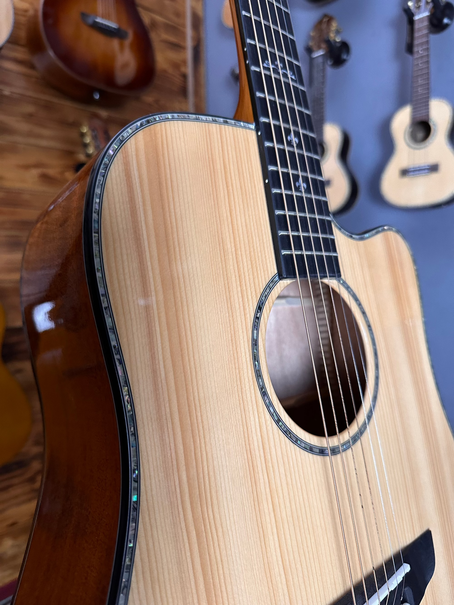 Deviser LT Acoustic Guitar