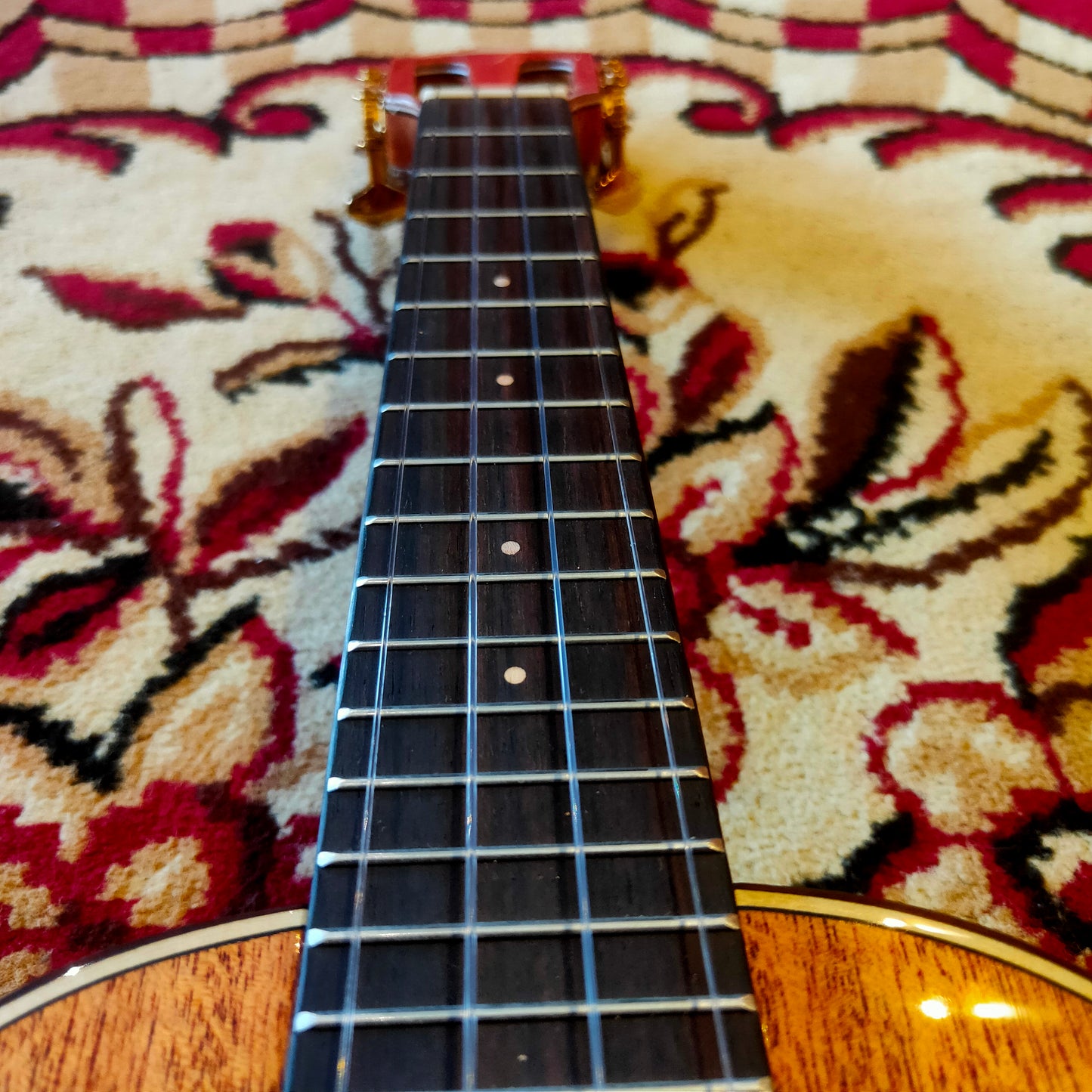 Tom Ukulele - 200RM Electric