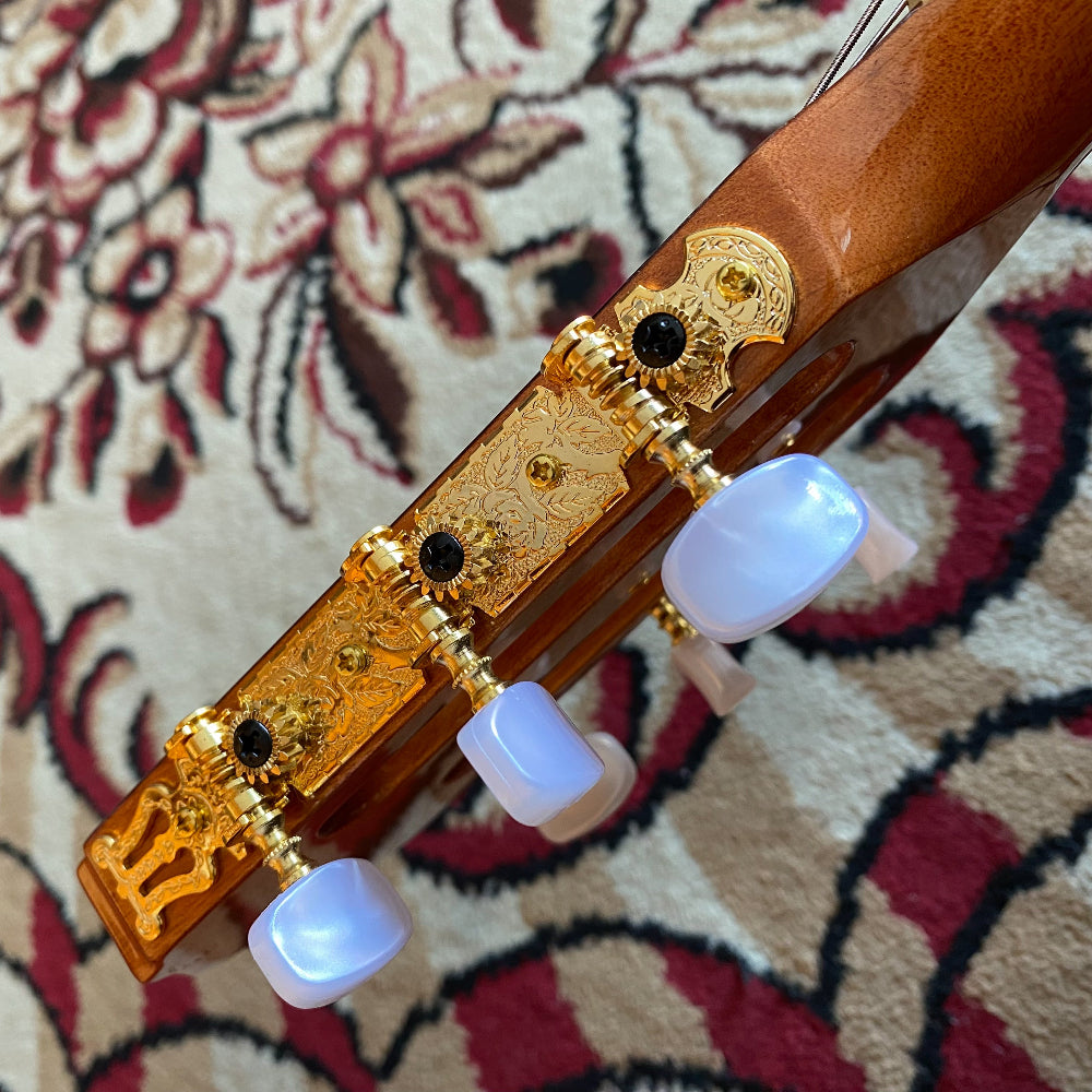 Takamine GC5CE Natural