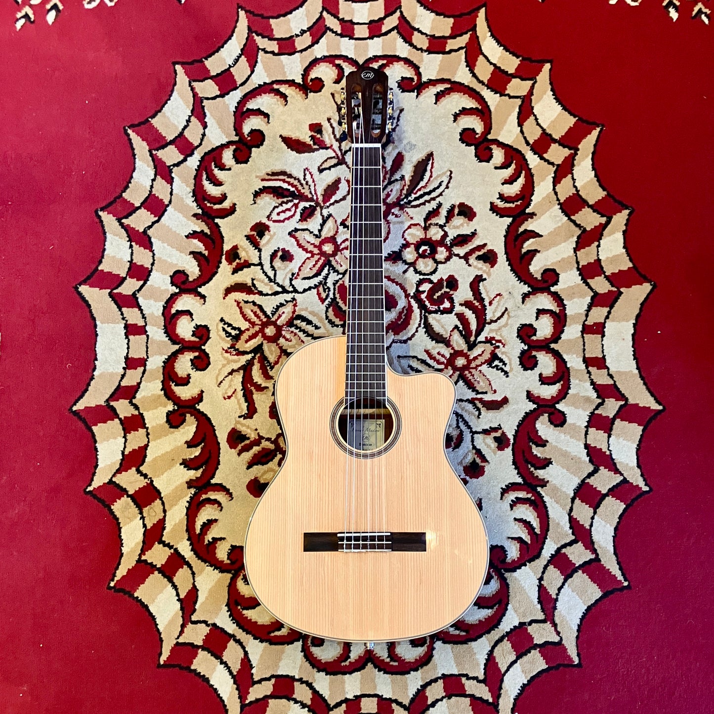 Tanglewood - EM DC6
