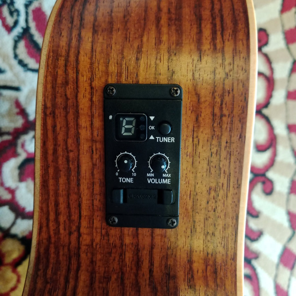 Taylor GS Mini-E Rosewood