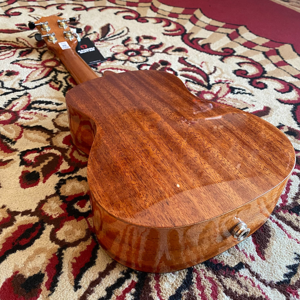 Tom Ukulele - DH-NCE Concert