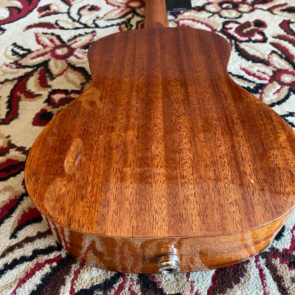 Tom Ukulele - DH-NCE Concert