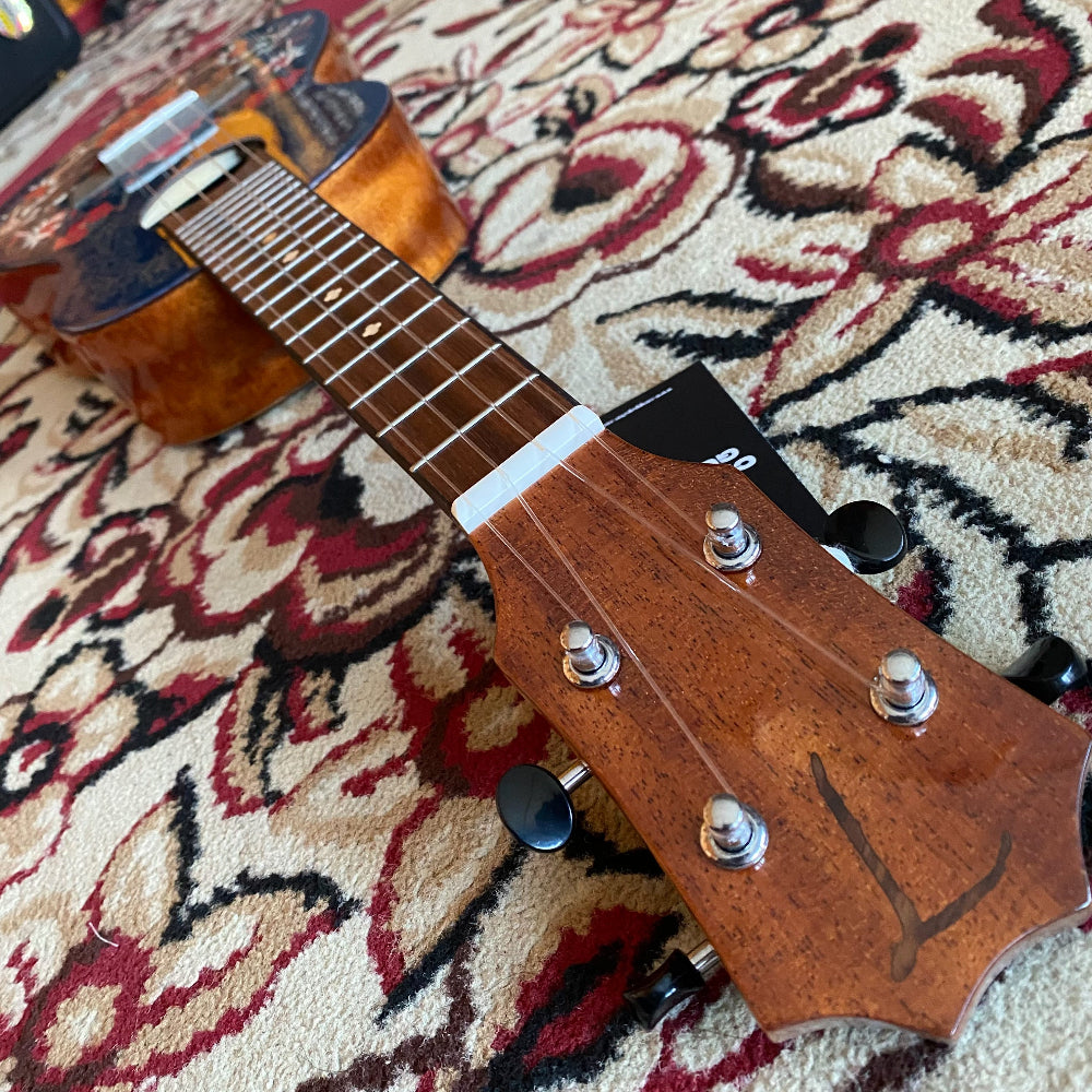 Tom Ukulele - DH-NCE Concert