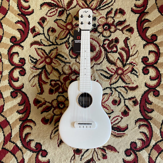 Tom Ukulele - N1WHE Concert