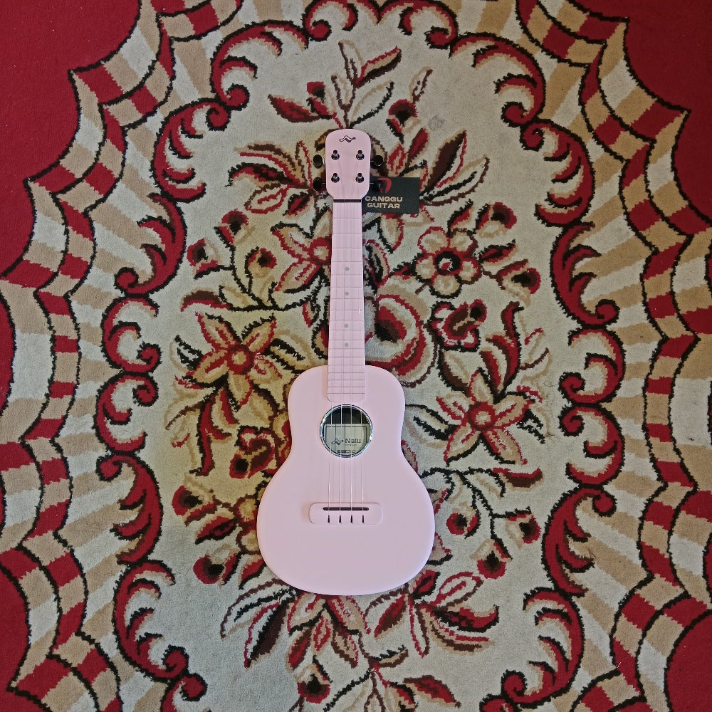 Tom Ukulele - N1PK Concert