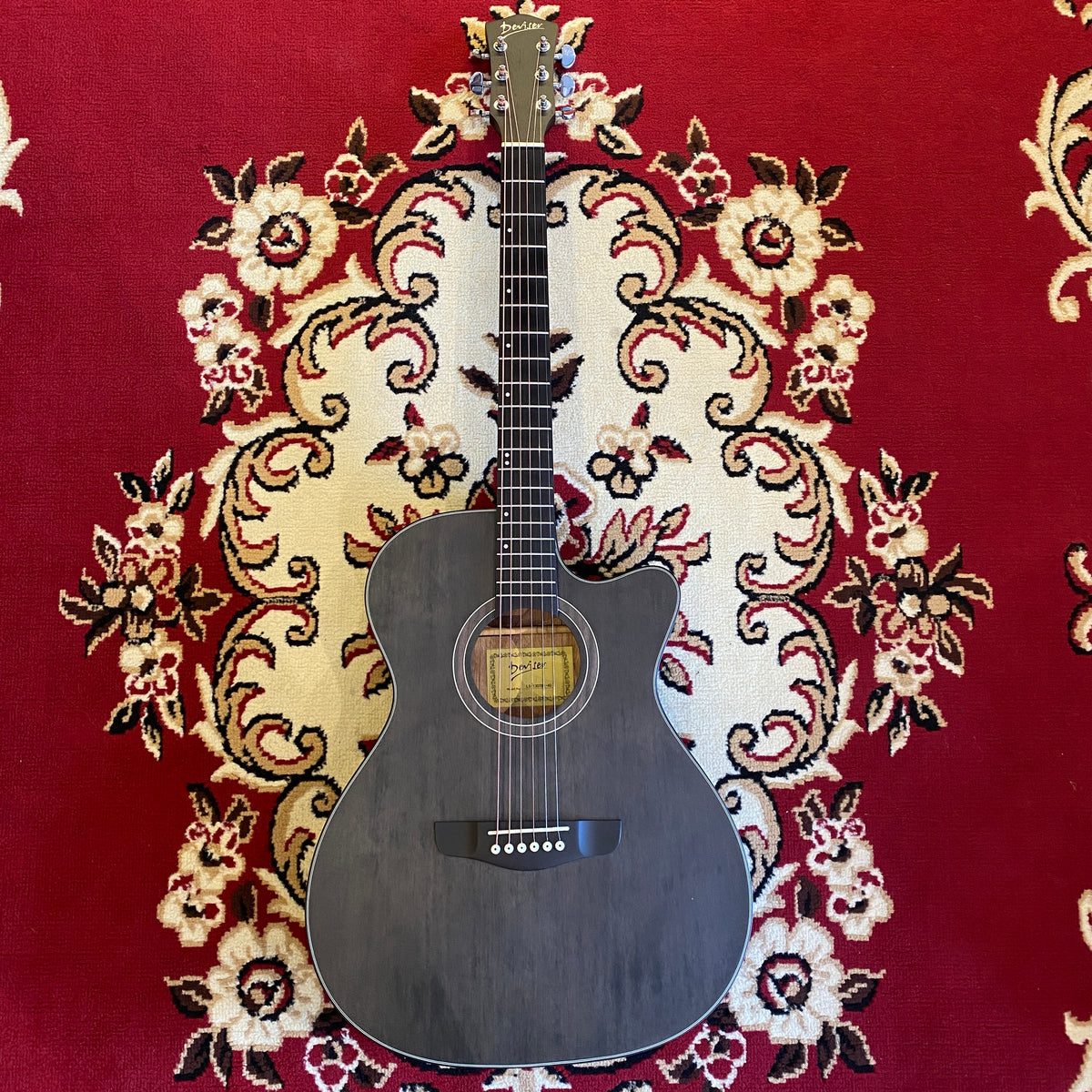 Deviser LS Acoustic Guitar
