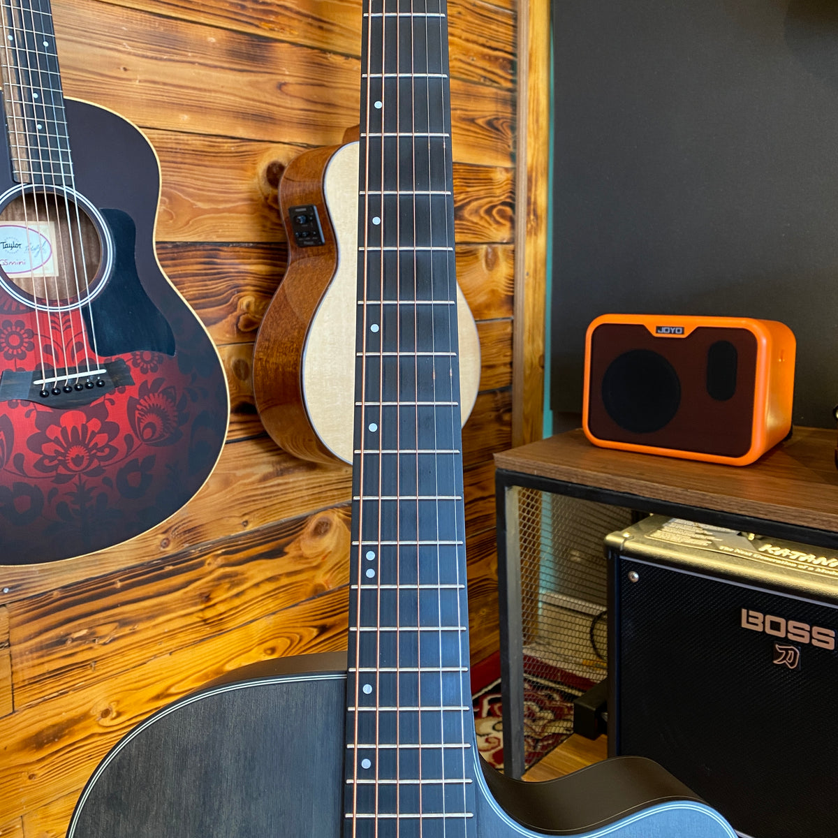 Deviser LS Acoustic Guitar