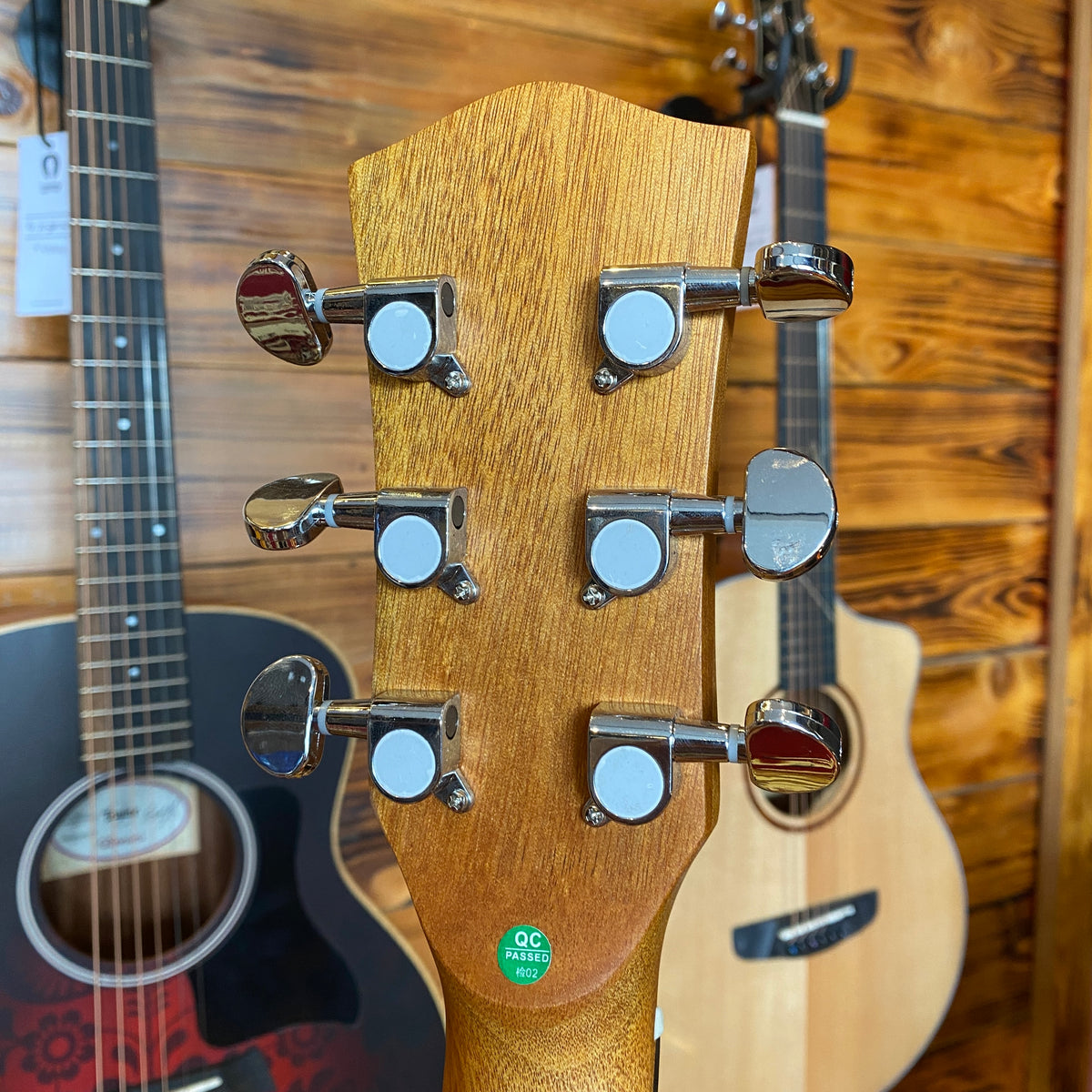 Deviser LS Acoustic Guitar