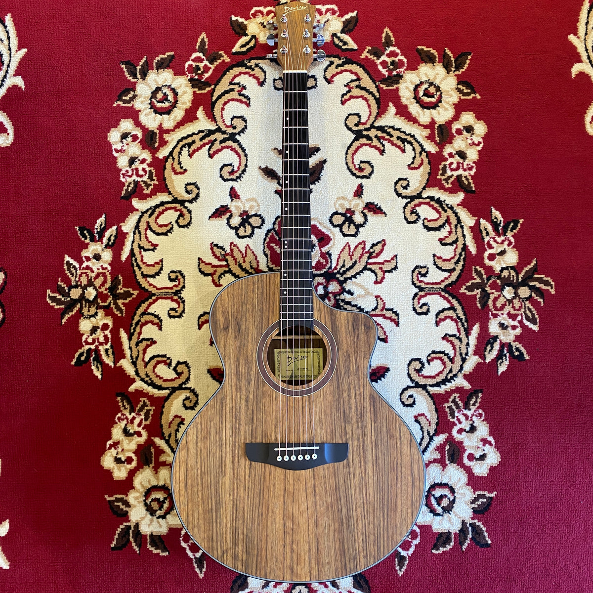 Deviser LS Acoustic Guitar