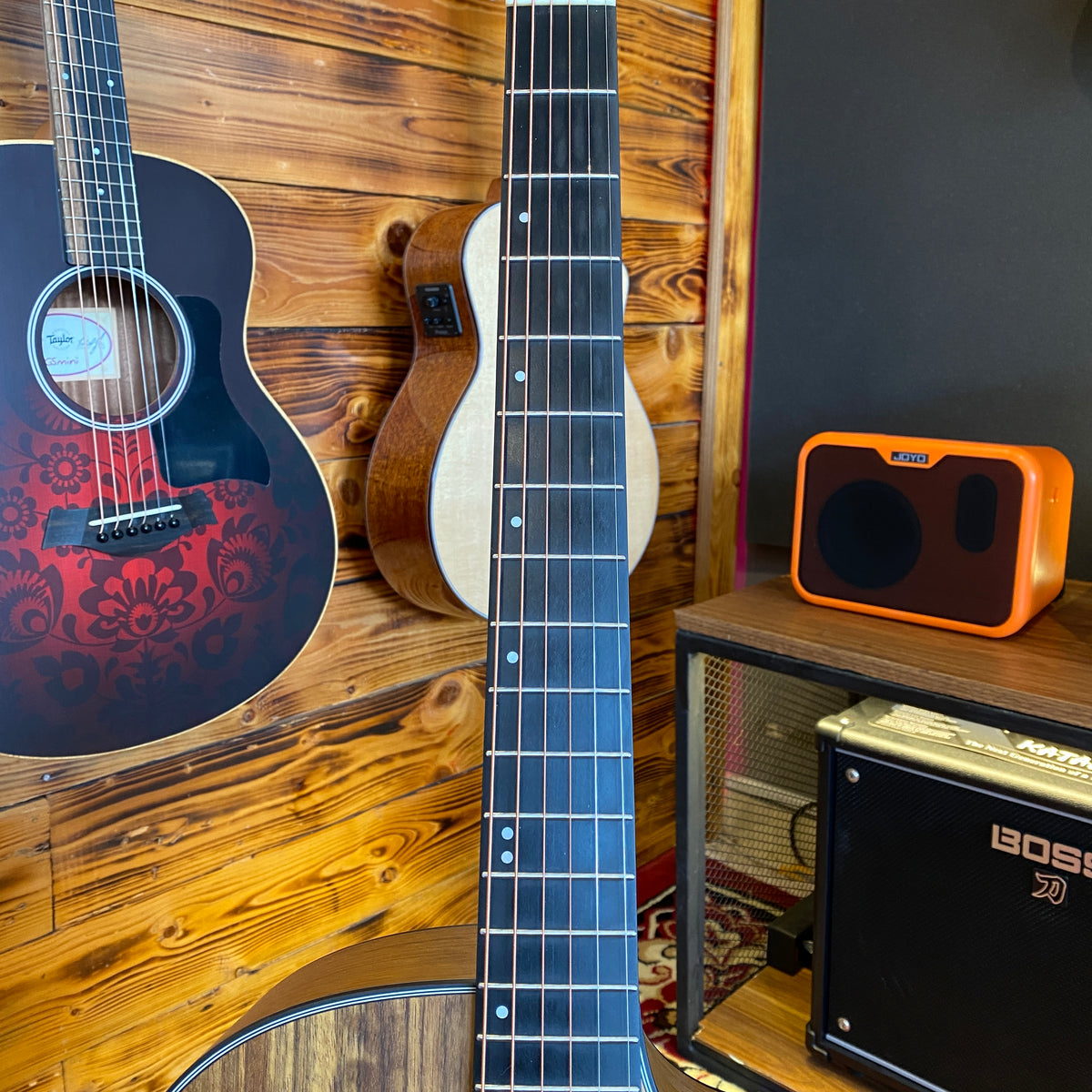 Deviser LS Acoustic Guitar