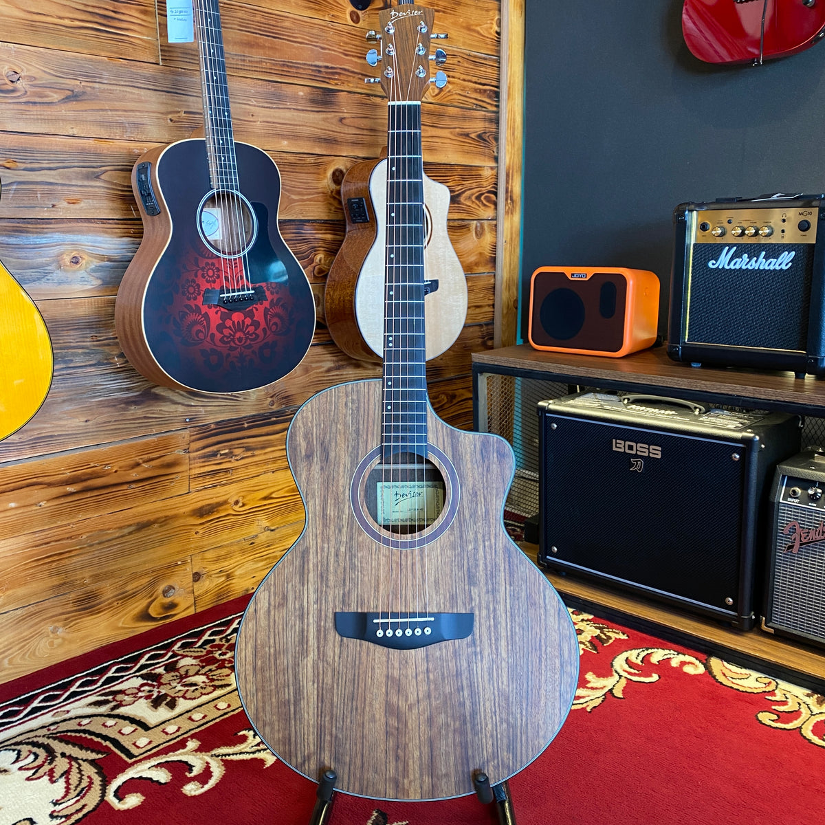 Deviser LS Acoustic Guitar