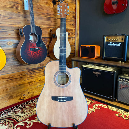 Deviser LT Acoustic Guitar
