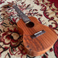 Tom Ukulele - JYYC1 Concert