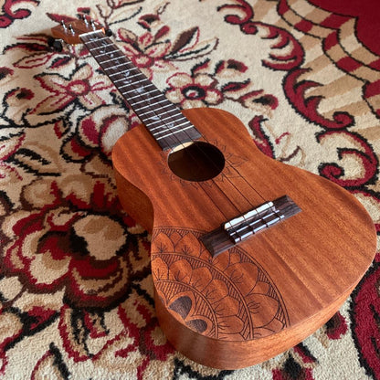 Tom Ukulele - JYYC1 Concert