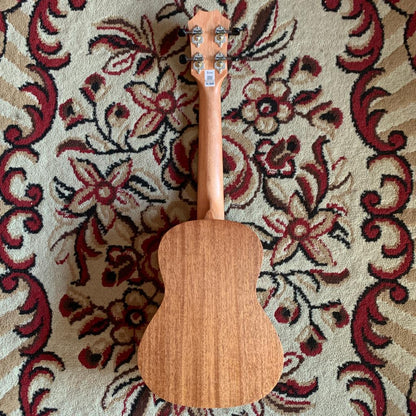 Tom Ukulele - JYYC1 Concert