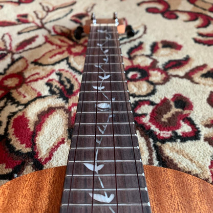 Tom Ukulele - JYYC1 Concert