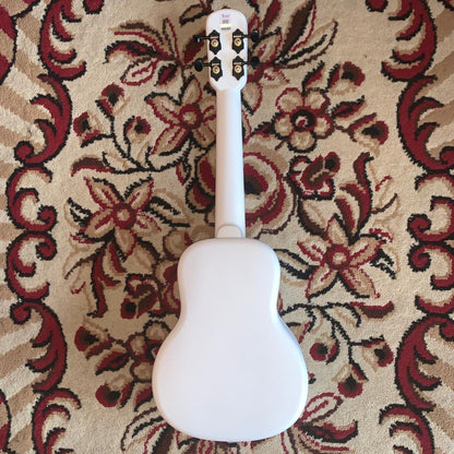 Tom Ukulele - N1WH Concert