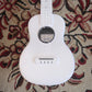 Tom Ukulele - N1WH Concert
