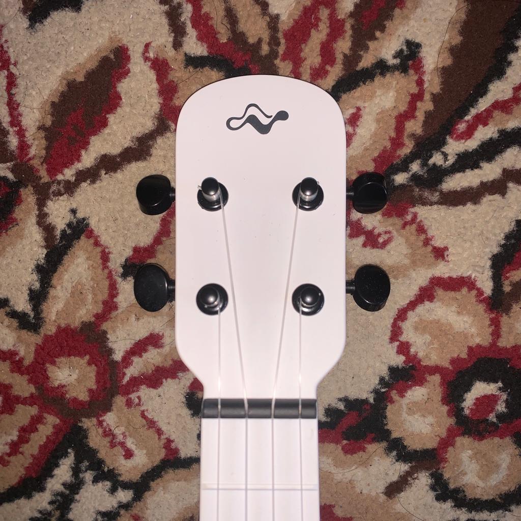 Tom Ukulele - N1WH Concert