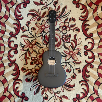 Tom Ukulele - N1BK Concert