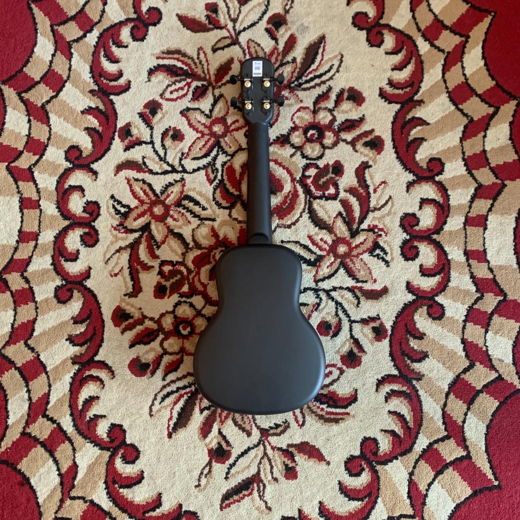 Tom Ukulele - N1BK Concert