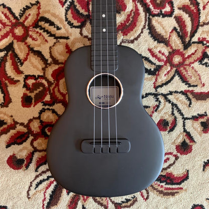 Tom Ukulele - N1BK Concert