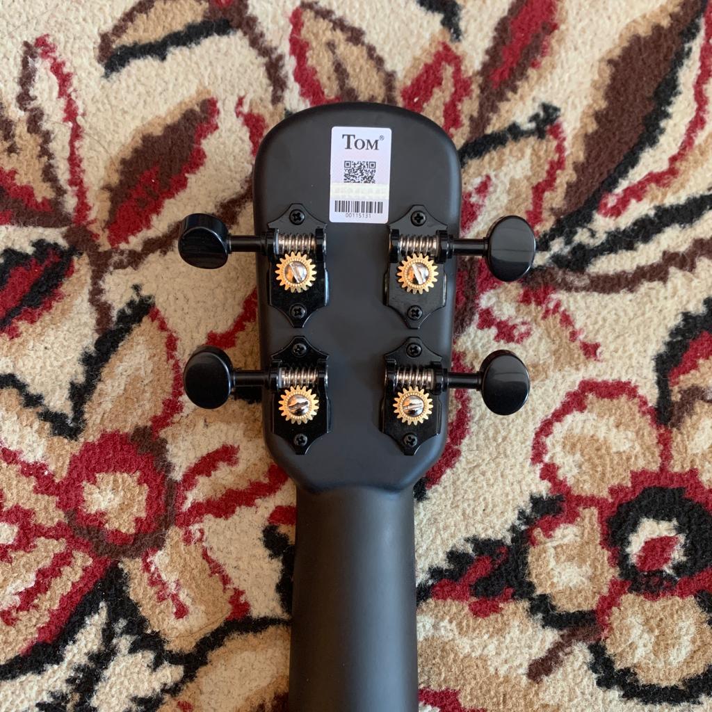 Tom Ukulele - N1BK Concert