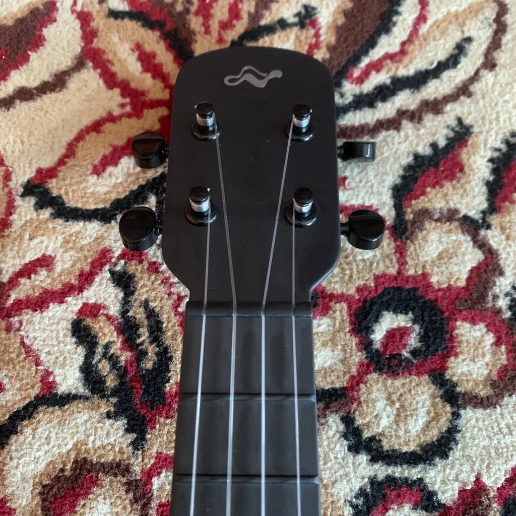 Tom Ukulele - N1BK Concert