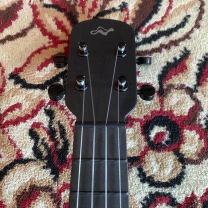 Tom Ukulele - N1BK Concert