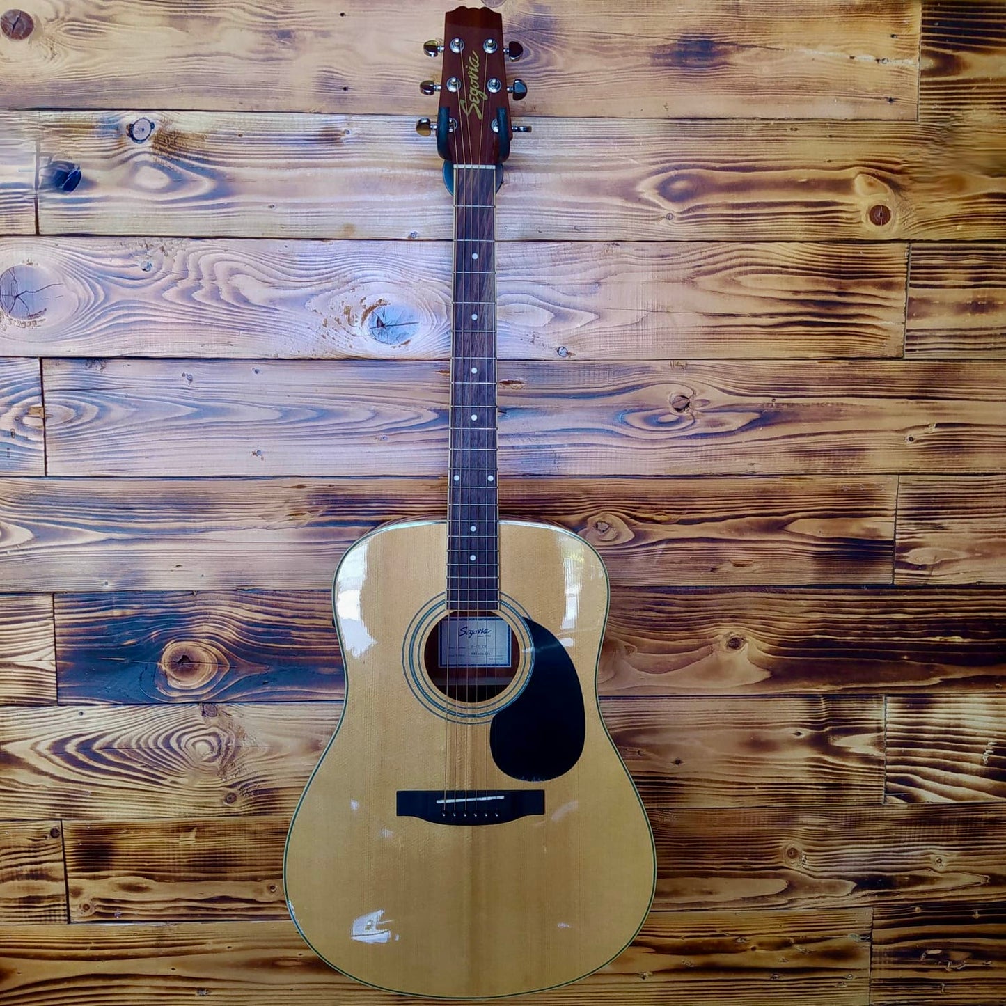 Segovia D-07 GN Acoustic Guitar