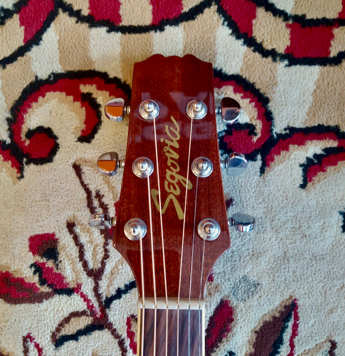Segovia D-07 GN Acoustic Guitar