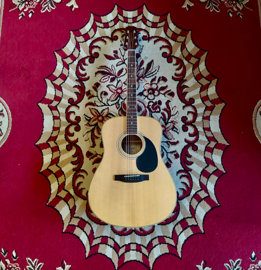 Segovia D-07 GN Acoustic Guitar