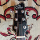Front of the headstock of an acoustic guitar, showing tuning pegs and wood grain.