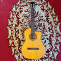 Takamine - GC1CE