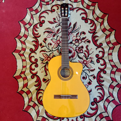 Takamine - GC1CE