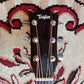 Taylor 210CE