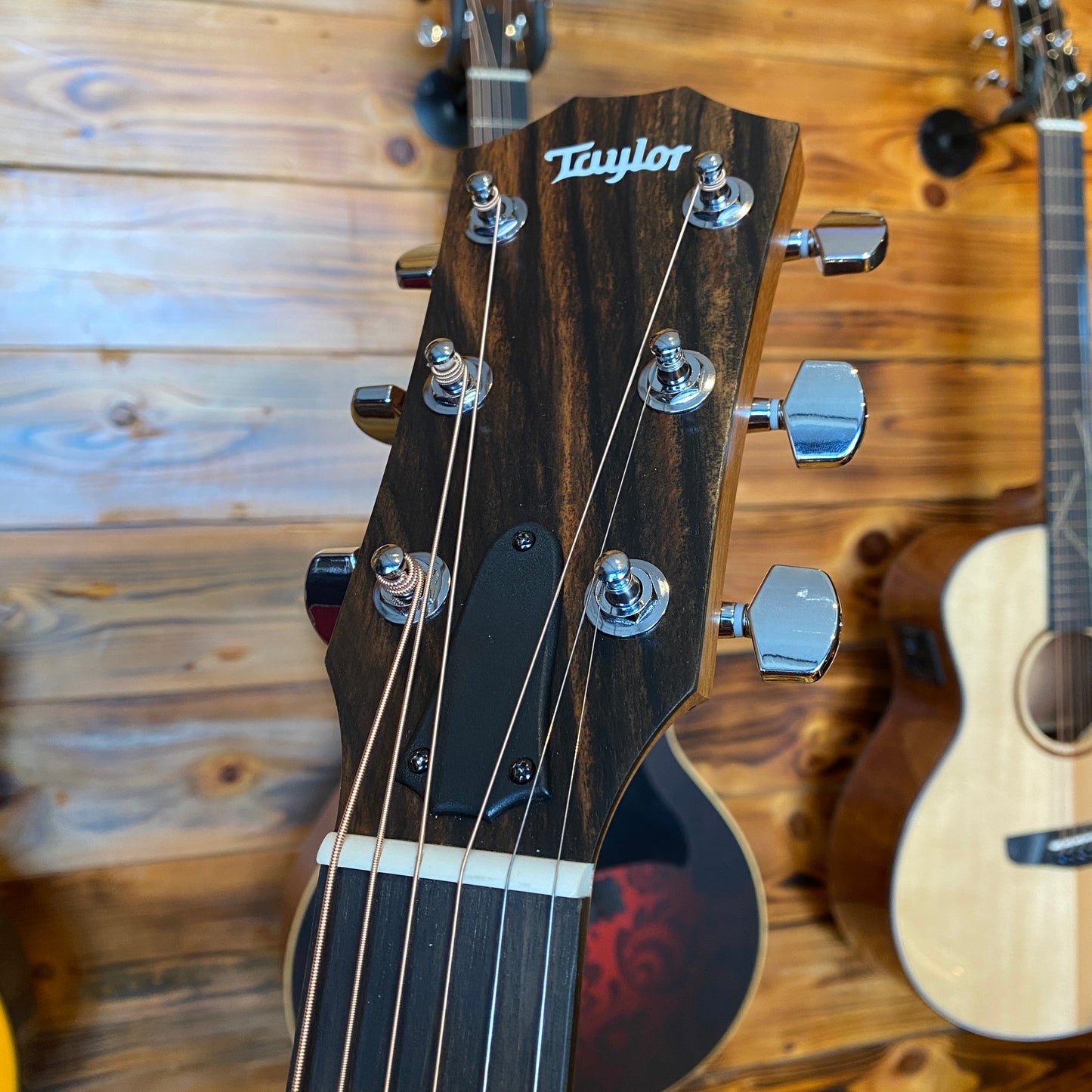 Taylor 214CE Walnut