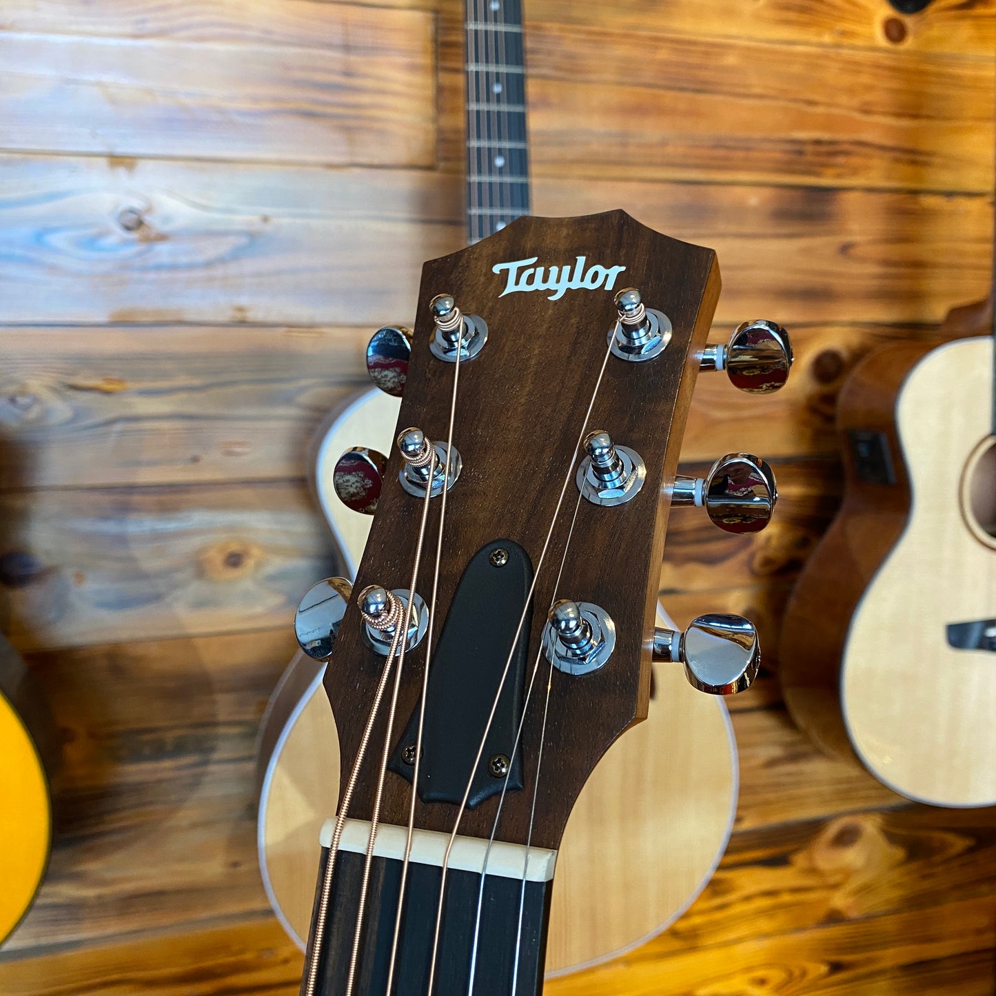 Taylor GS Mini-E Special Edition Victorian Burst