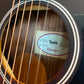 Taylor GS Mini-E Special Edition Victorian Burst