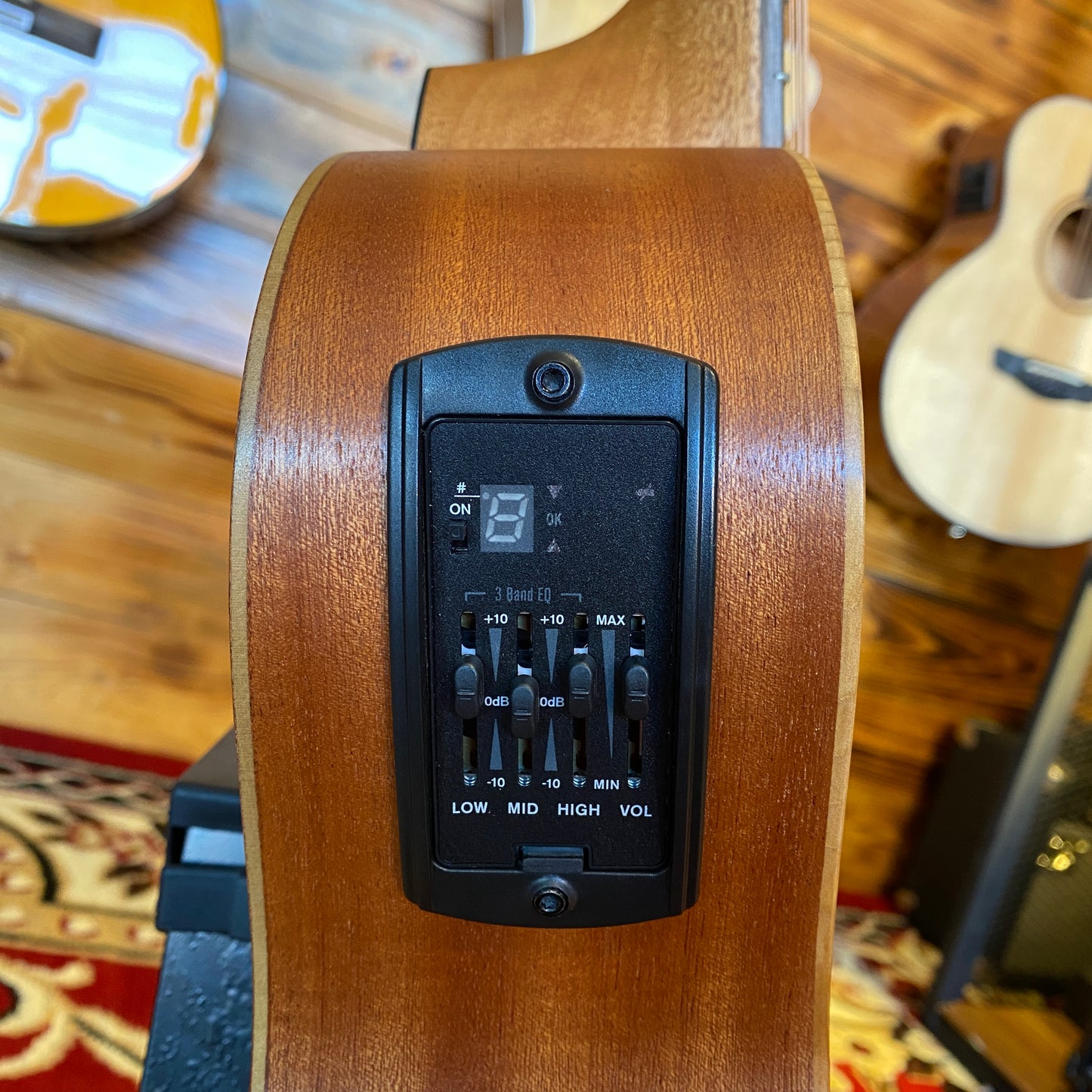 Taylor GS Mini-E Special Edition Victorian Burst